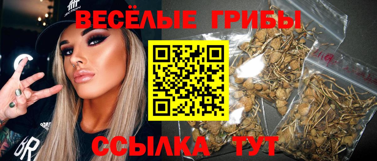 Галлюциногенные грибы Psilocybe  Вход с VPN  Курчатов 
